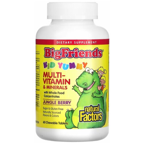 Natural Factors, Big Friends, Chewable Multi-Vitamin ans Minerals,    ,   , 60   2799