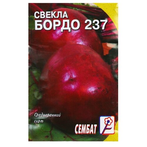������ ������ ������ ����� 237, ����, ������ ������ �� 36 ���
