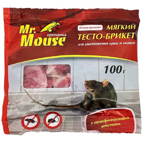 -   mr.mouse -969 529