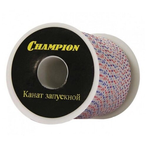   Champion 6  100  C6007 4399