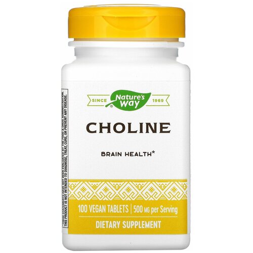 CHOLINE 500mg 100 tabs NW 3600