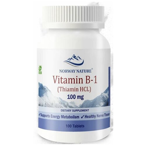 Norway Nature Vitamin B-1 Thiamin HCL 100  ( -1  ) 100  (Norway Nature) 1806