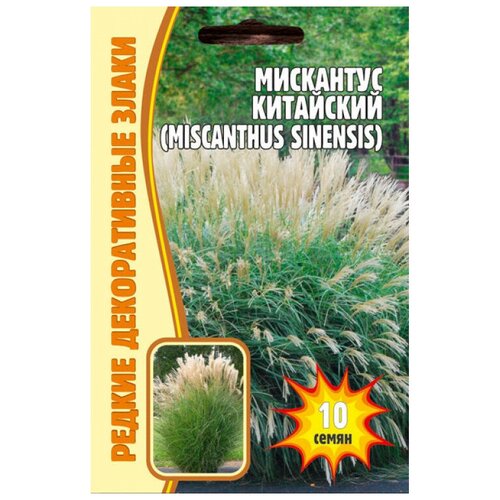    (Miscanthus Chinensis) (0.01 ), ,    220 