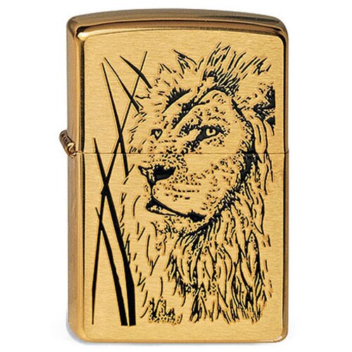    ZIPPO 204B Proud Lion   Brushed Brass -  , ,    6240 