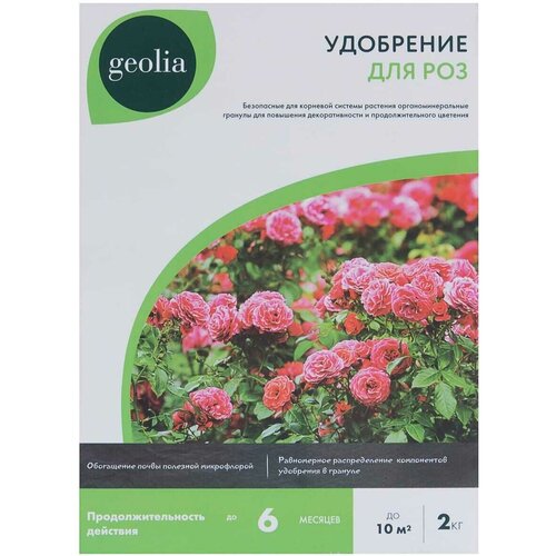  Geolia    2 , ,    957 