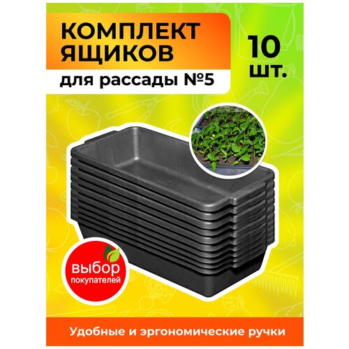 ���� ��� ������� �5 � ������� �������� 10��., ����, ������ ������ �� 735 ���