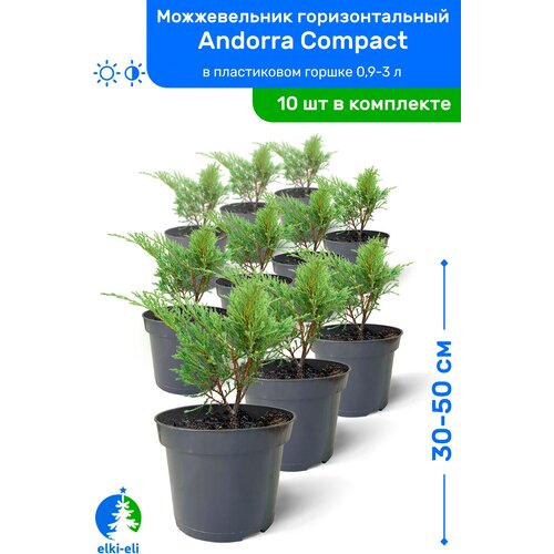   Andorra Compact ( ) 30-50     0,9-3 , ,   , 10  17500