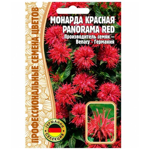    Panorama red (5 ) 240