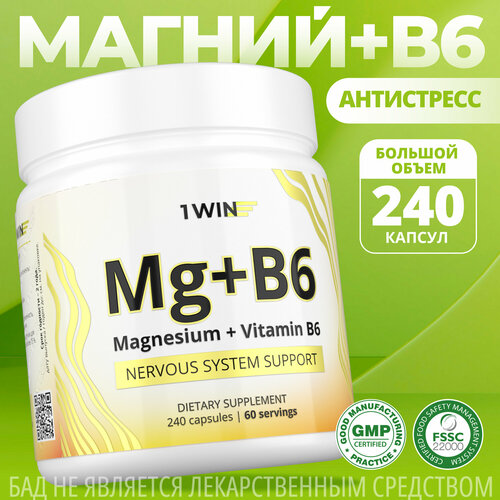 1WIN     6 ( 6),       , Magnesium Citrate, 240  797