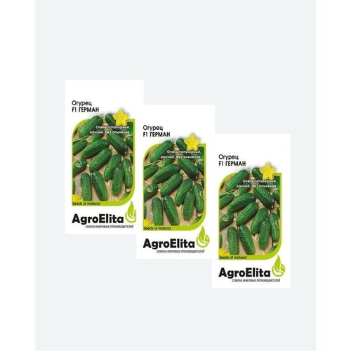    F1, 5, AgroElita, Seminis(3 ) 484