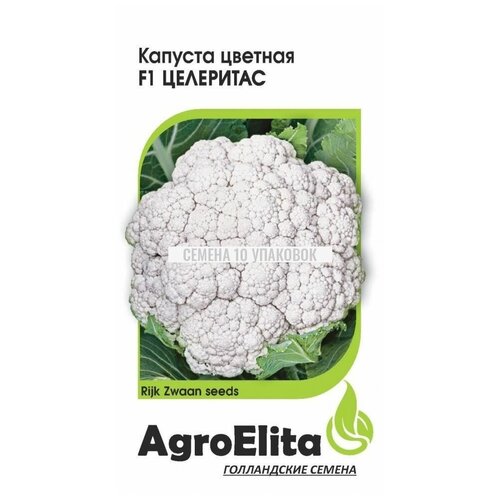   AgroElita    F1 10 ., 10 . 238