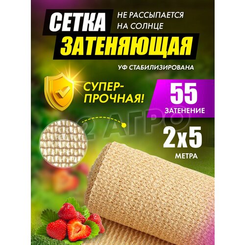 ����� ���������� 55% 2�5 ������� ��� ����, ����, ������ ������ �� 550 ���