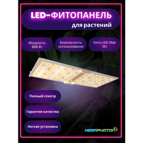    Megaphoton LED 200  , ,  , Quantum Board (   ) 15616